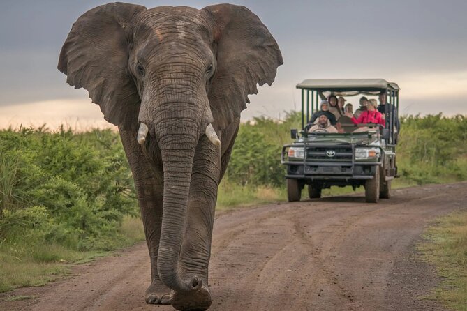 5 Day Garden Route and Addo Safari - Best of South Africa Small Group Tour - Tour Overview and Highlights