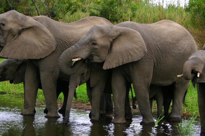 5 Day Garden Route Small Group Tour Fr CapeTown - Departs Mondays - Garden Route Attractions