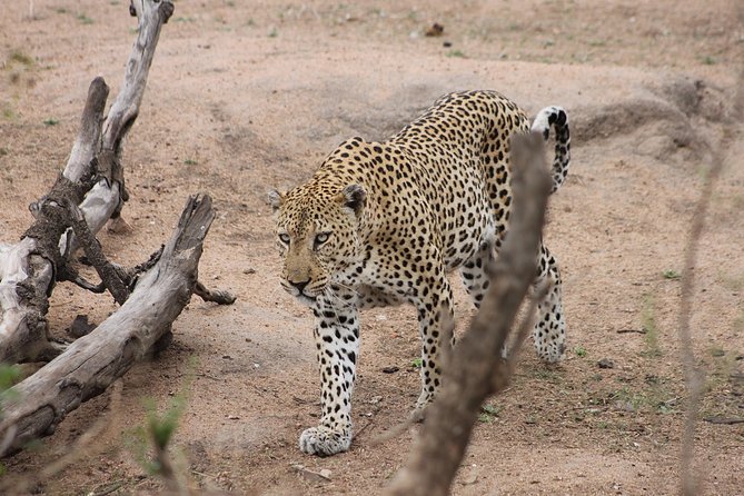 5 Day Kruger National Park Tour - Selecting Date and Travelers