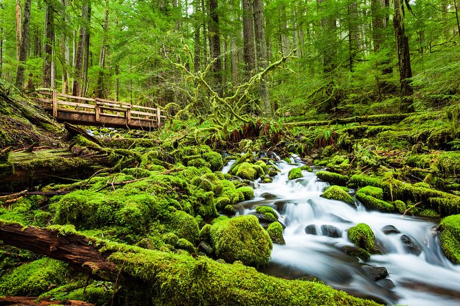 5-Day Olympic Backpacking - Hoh Rainforest and the Blue Glacier - Blue Glacier: A Majestic Wonder of Nature