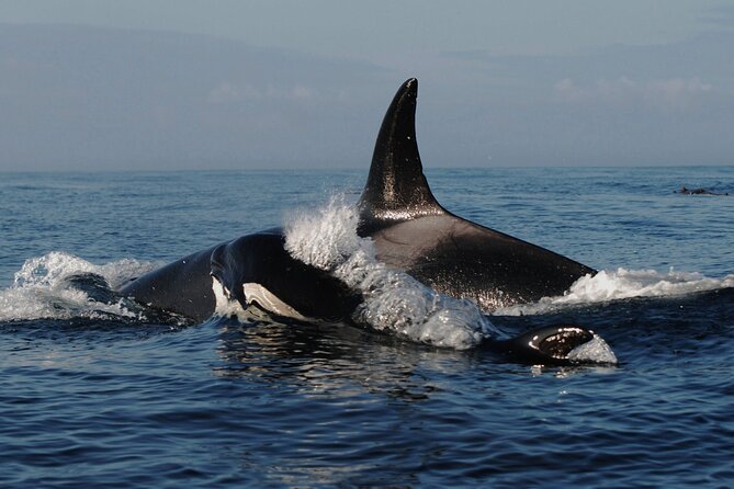 5 Days in Vancouver Multiactivity Adventure Tour - Day 2: Outdoor Adventures in Vancouver