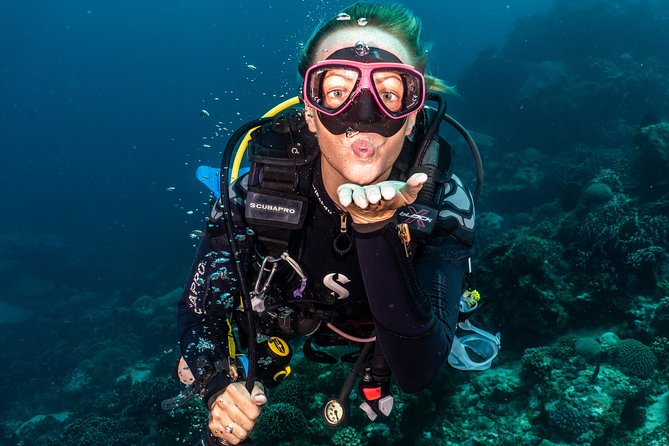 5 Fun Dives in Pemuteran (For Certified Divers) - Exploration in Menjangan Park - Underwater Wildlife Encounters