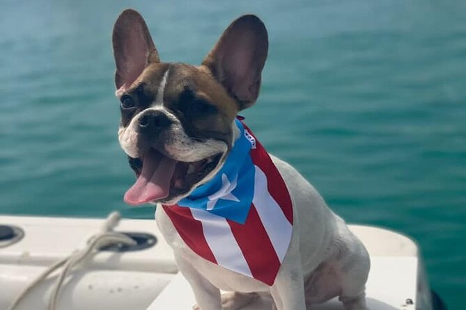 5 Hour Private Boat Trip in Puerto Rico - Traveler Photos