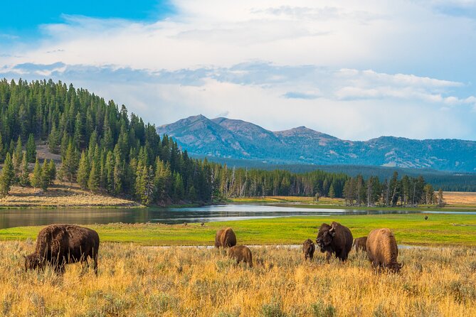 6-Day Guided Motorcycle Tour - Yellowstone & Teton National Parks - Accommodations and Meals
