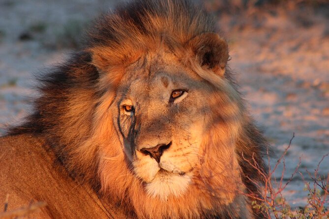 6-Day Private South to North Kruger National Park Tour - Accommodation and Meal Options