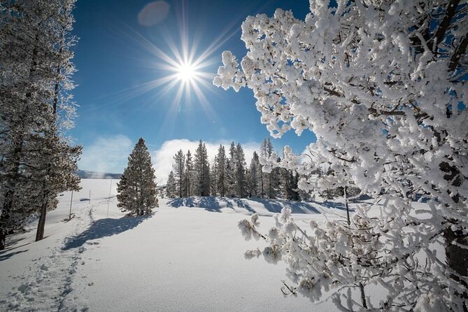 6-Day Tour of Yellowstone and Grand Teton Winter Adventure - Itinerary Overview