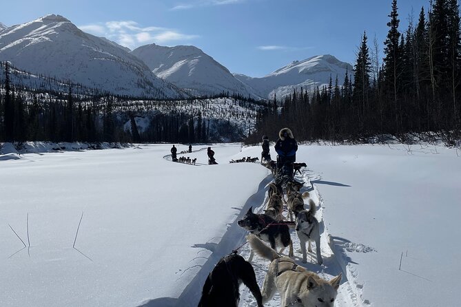 6 Days Brooks Range Expedition Private Tour - Pricing and Booking Information