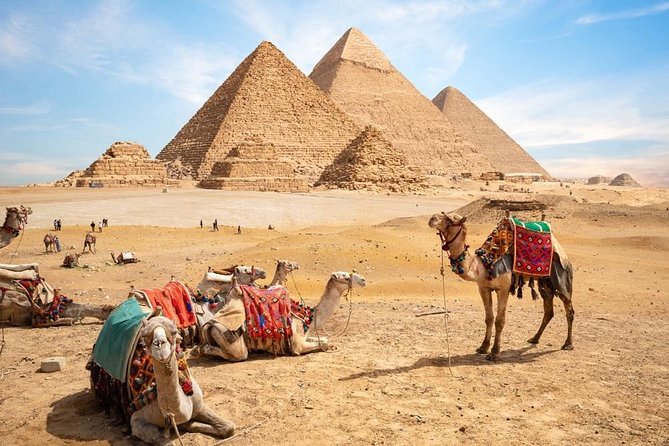 6 Days Private Package : Cairo to Luxor by Train - Train Travel Experience