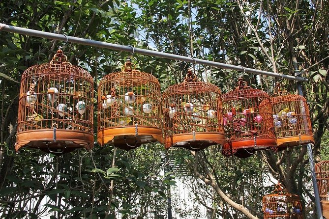 6-Hour Private Beijing Tour: Flower and Fish Market, Panjiayuan Antique Market and 798 Art Zone - Tour Highlights