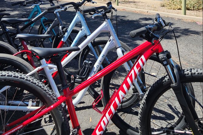 6-Hour Regular Bike Rental From Tucson - Participant Information