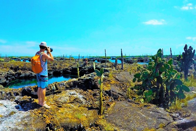 7-Day Galapagos Island Hopping Tour: Tortuga Bay, Tintoreras, Wildlife Watching - Snorkeling Adventures