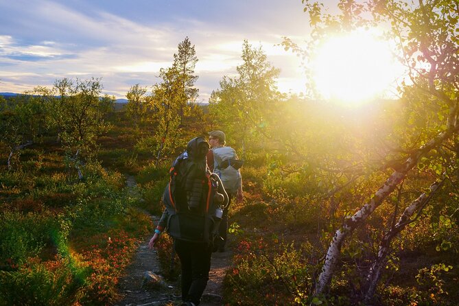 7 Days Tour Relaxing Holiday Under the Midnight Sun in Lapland - Day 2: Exploring Laplands Natural Wonders