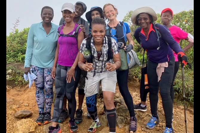 7 Hours Wildlife Discovery Tour in Dominica - Scenic Landscapes