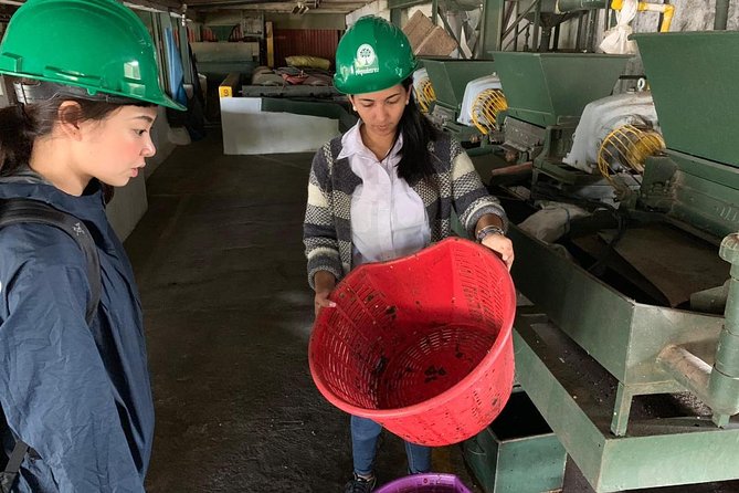 A Taste of Aquiares - 2 Hours Coffee Tour - Pricing and Duration