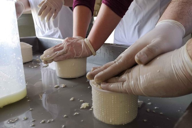 Abruzzo Cheese-Making Workshop  - Pescara - Farm Tour Details