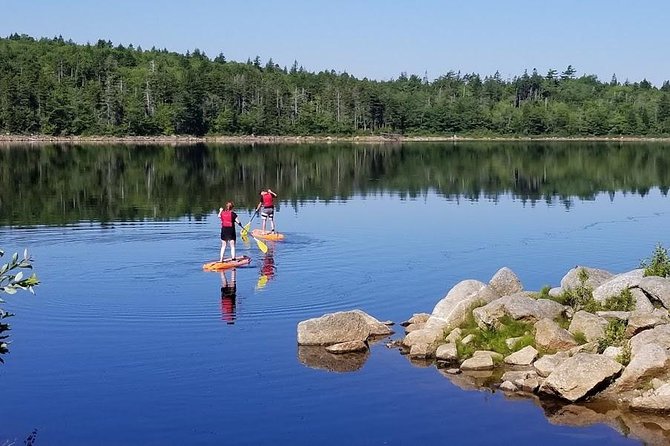 Adult Stand-Up Paddle Board Rental - Pricing and Availability
