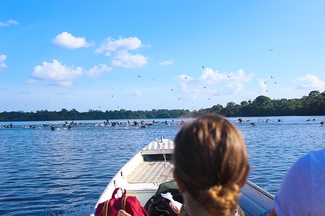 Adventure in the Amazon Jungle 5d/4n at Amazon Mamori Lodge - Daily Itinerary and Activities