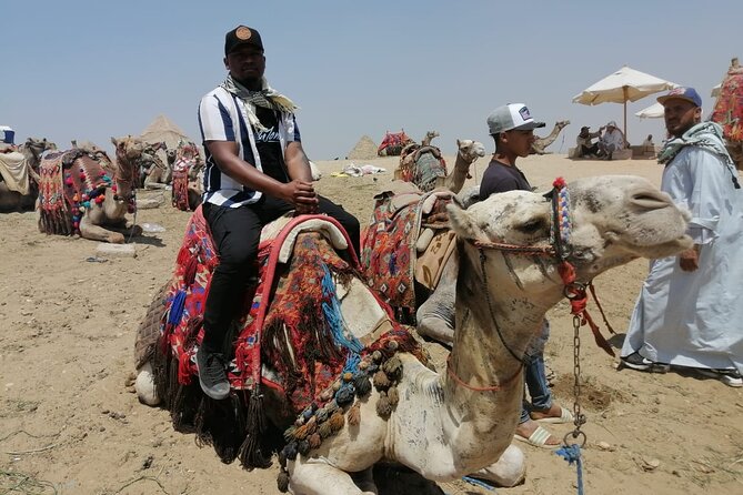 Africano Safari Park Tour in Cairo Egypt With Lunch - Pricing and Booking Details