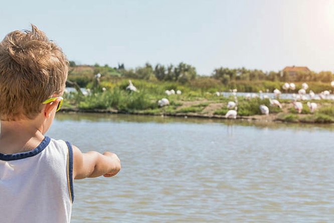 Agadir 2-Hour Private Horse Riding Experience With Pickup - Sunset Horse Riding Experience