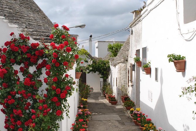 Alberobello With a Local Tour Guide!(Shared Tour Max.15 Pax) - Meeting Point Information