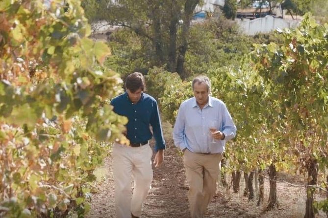 Alentejo Wine Tour From Évora - Highlights of the Wine Tour