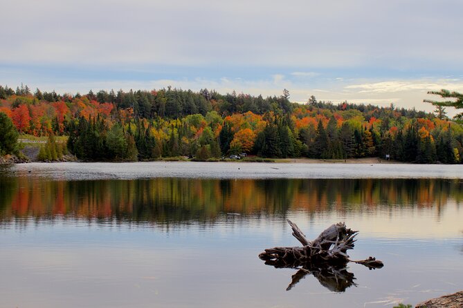 Algonquin Provincial Park Full Day Trip - Maximum Number of Travelers