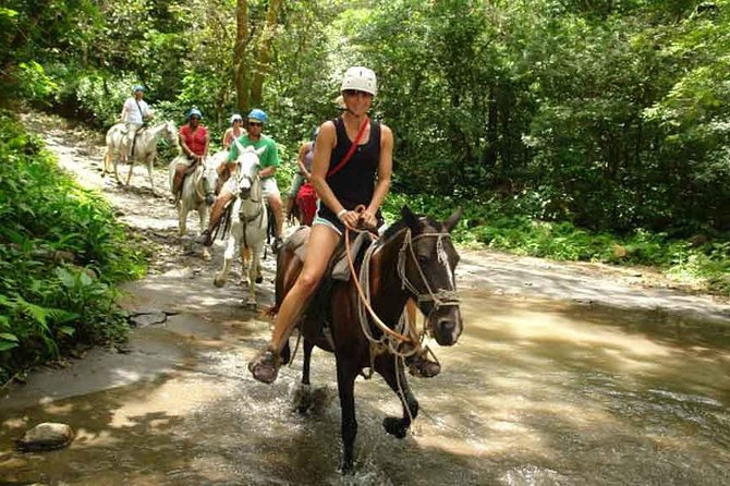 All-Day Adventure Park Excursion in Costa Rica (Feb ) - Customer Reviews