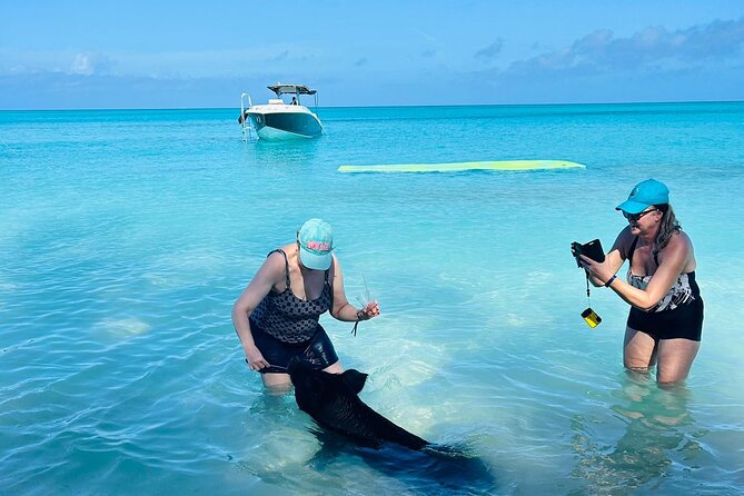All Inclusive Swimming Pigs, Turtles & Snorkeling Experience - Reviews