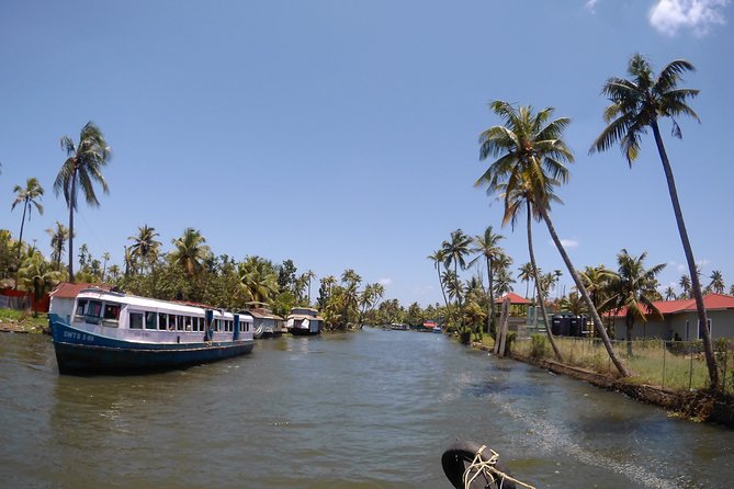 Alleppey Houseboat Day Trip From Kochi. - Exclusions and Additional Charges