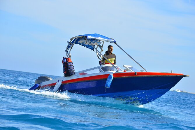 Amazing Day in Paradise Island By Private Speed Boat & Water Sport - Hurghada - Inclusions and Services
