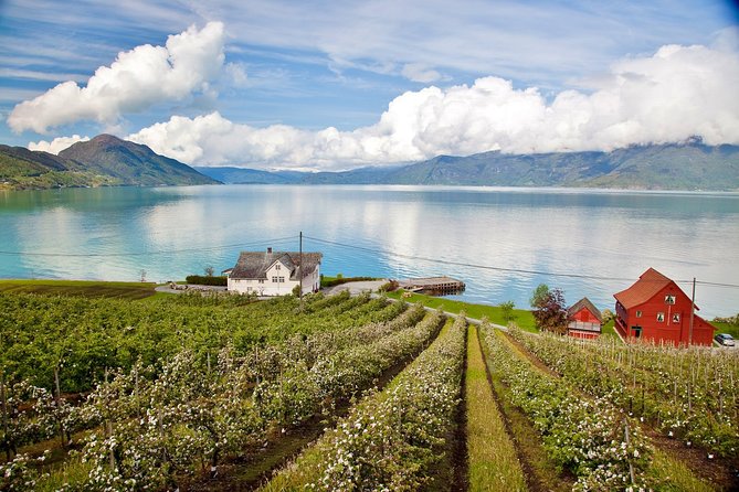 AMAZING HARDANGER: Private Round Trip With Fjord Cruise – From Bergen, 11 Hours - Opening Hours and Pickup Details