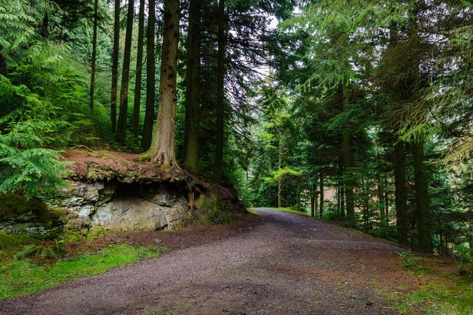 Ambleside Woodland Walking Tour  - Windermere - Booking and Cancellation Policies