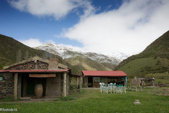 Andean Adventure: Trek, Wildlife, Barbecue Lunch Experience - Wildlife Encounters on the Trail