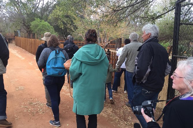 Ann Van Dyk Cheetah Centre Half-Day Tour From Johannesburg - Native Animal Encounters