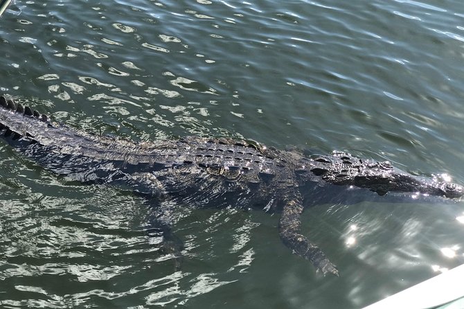 Appleton Rum Factory, Ys Falls, Black River Safari, Floyd's Pelican Bar - Sunset Experience at Floyds Pelican Bar