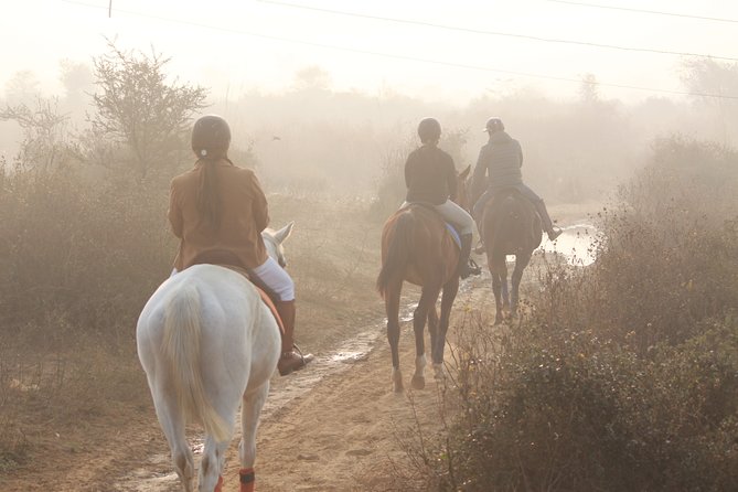 Aravali Trail Experience( Jungle Safari Forest Area)- Horseback Riding - Experience Overview