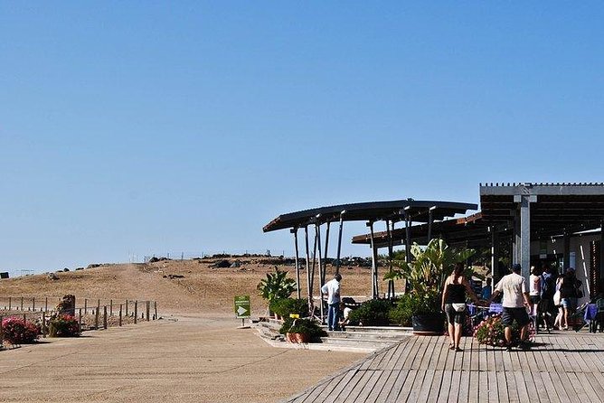 Archaeological Tour of Nora - Tour Highlights and Itinerary