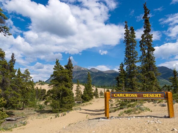 Arctic Day: Carcross & Southern Lakes Hiking Tour Full Day - Picturesque Trails