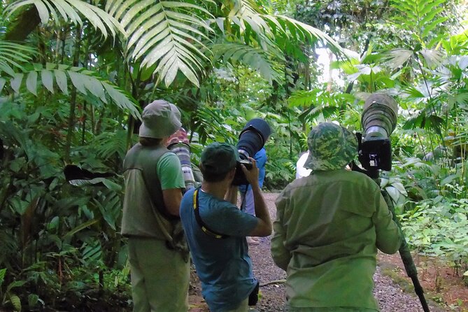 Arenal Butterfly Garden - Rainforest Guided Tour Ecocentro Danaus - Tour Experience