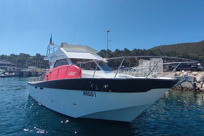Arrabida Private Boat Tour With Secret Beaches and Dolphins  - Setubal District - Dolphin Watching and Wildlife Exploration
