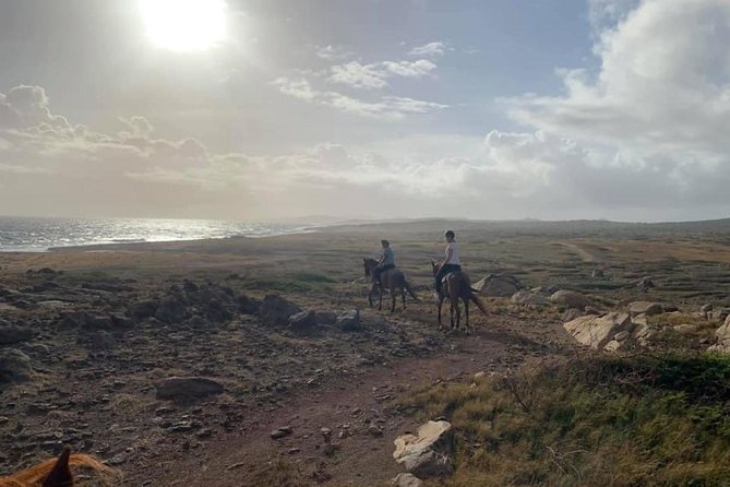 Aruba 2,5 Hrs Horseback Riding for Advanced Riders - Background Information
