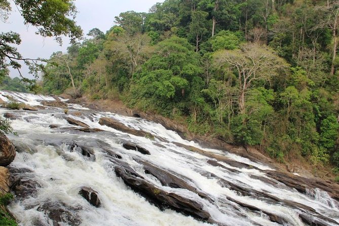 Athirappally & Vazhachal Waterfall Tour With Lunch - Itinerary Details