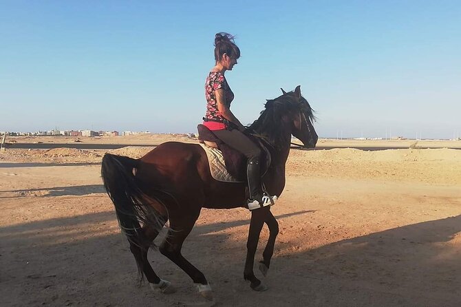 ATV Quad Bike Safari and 1-Hour Horse Riding - Sharm El Sheikh - Booking Information