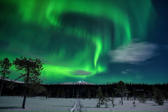 Aurora Borealis Experience in Sonkamuotka - Unique Product Code and Its Importance