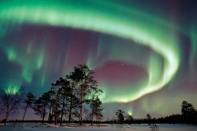Aurora Hunting With Car, Snowshoes or Backcountry Skis - Inclusions