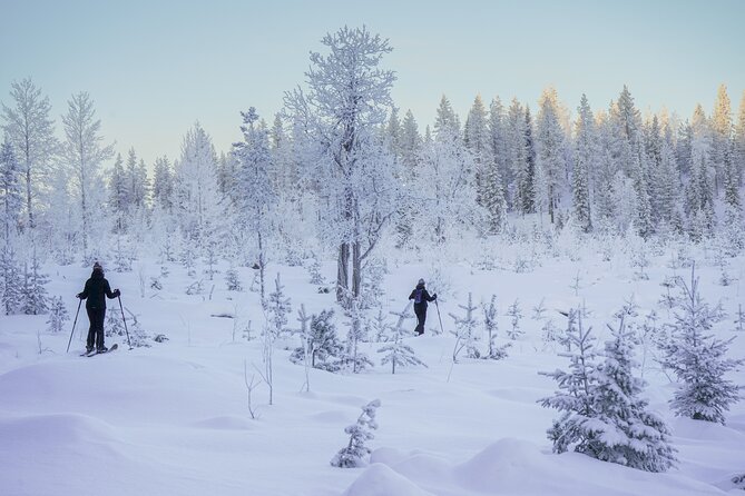 Backcountry Ski Adventure From Rovaniemi - Date, Duration, and Meeting Options