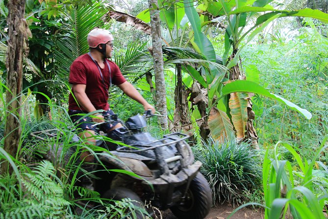 Bali ATV Quad Bike and Kintamani Volcano Tour - Tour Highlights