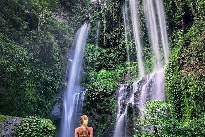 Bali Best Waterfalls Tour : Sekumpul and Banyumala - Transportation and Logistics