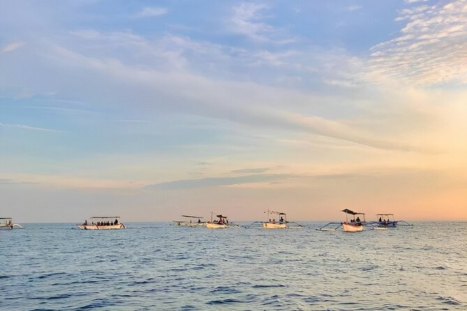 Bali Dolphin Tour With Gitgit Waterfall and Ulundanu Beratan  - Kuta - Tour Overview