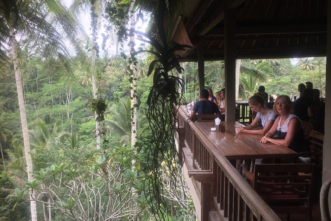 Bali Hindu Temple, Rice Terrace, Waterfall With Lunch - Transportation and Logistics